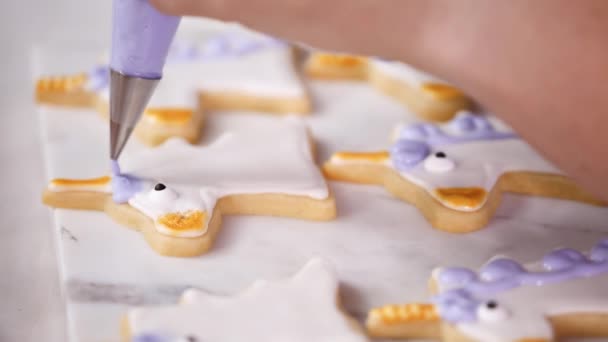 循序渐进 装饰独角兽形状糖饼干与皇家糖衣小女孩生日聚会 — 图库视频影像