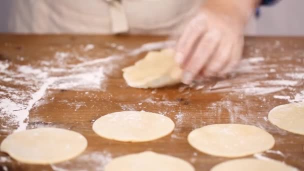 Paso Paso Masa Rodante Para Empanadas Caseras — Vídeo de stock