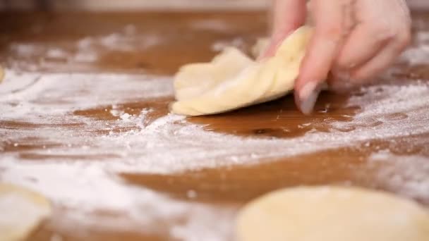 단계적으로 만든된 Empanadas에 반죽을 — 비디오