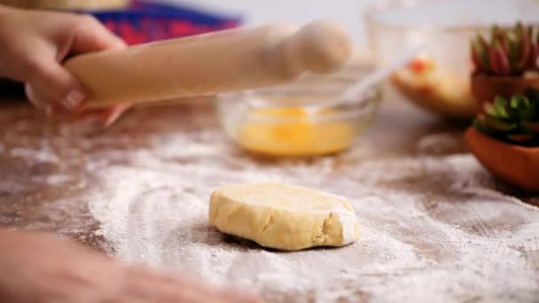 Step Step Rolling Dough Home Made Empanadas — Stock Video