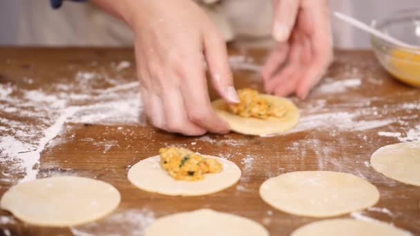 Schritt Für Schritt Herstellung Hausgemachter Empanadas Mit Hühnchen Und Mais — Stockvideo