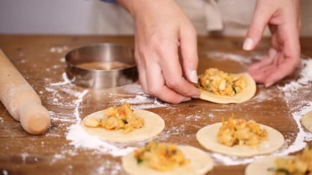 Lépésről Lépésre Házi Készítés Empanadas Csirke Kukorica — Stock videók