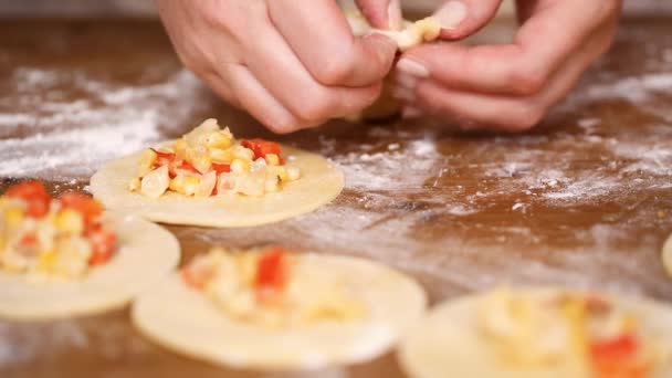 Adım Adım Yapımı Yapma Empanadas Farklı Dolguları Ile — Stok video