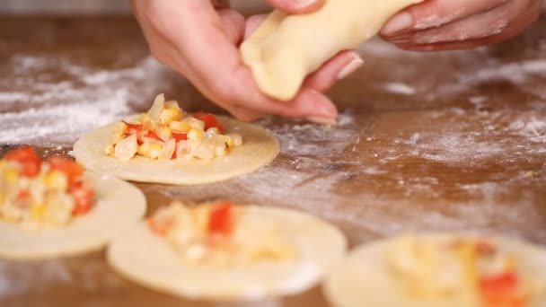 Adım Adım Yapımı Yapma Empanadas Farklı Dolguları Ile — Stok video