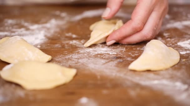 Steg För Steg Att Göra Hemgjort Empanadas Med Olika Fyllningar — Stockvideo