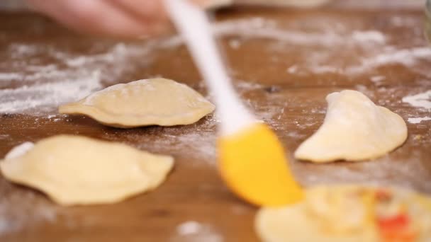 Adım Adım Yapımı Yapma Empanadas Farklı Dolguları Ile — Stok video