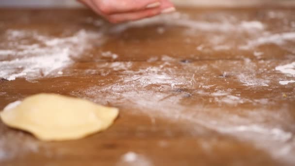 Schritt Für Schritt Herstellung Hausgemachter Empanadas Mit Verschiedenen Füllungen — Stockvideo