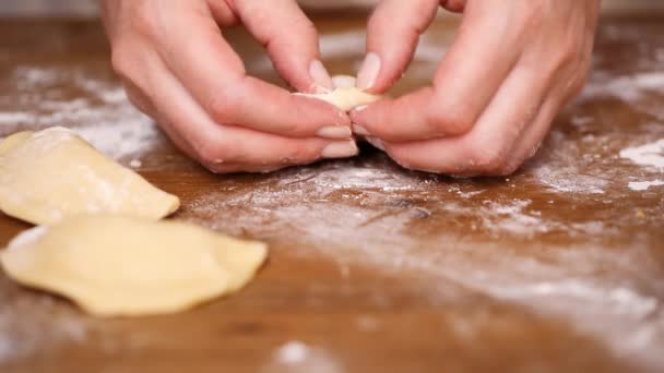 Paso Paso Hacer Empanadas Caseras Con Diferentes Rellenos — Vídeo de stock