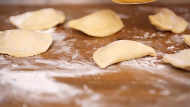 Pas Pas Faire Des Empanadas Faites Maison Avec Différentes Garnitures — Video