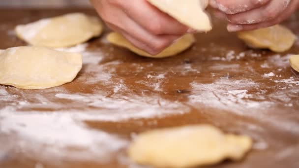 Schritt Für Schritt Herstellung Hausgemachter Empanadas Mit Verschiedenen Füllungen — Stockvideo