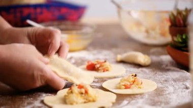 Adım adım. Ev yapımı yapma empanadas farklı dolguları ile