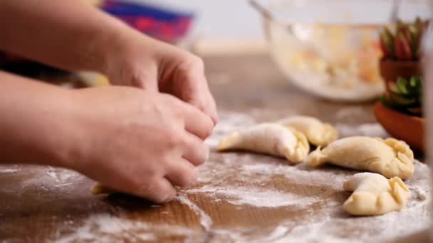 Step Step Making Home Made Empanadas Different Fillings — Stock Video