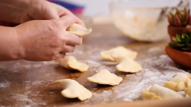 Paso Paso Hacer Empanadas Caseras Con Diferentes Rellenos — Vídeos de Stock