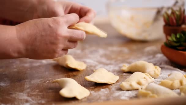 Krok Kroku Empanadas Podejmowania Domowe Różnymi Nadzieniami — Wideo stockowe