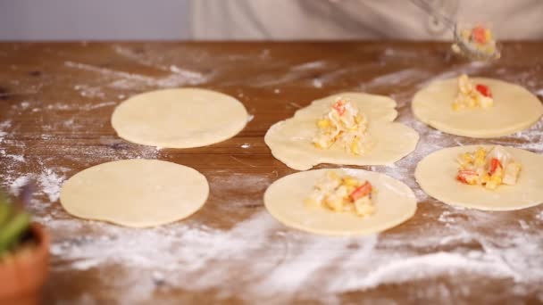 Krok Krokem Výroba Domácí Empanadas Různými Náplněmi — Stock video