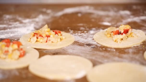 Zaman Atlamalı Adım Adım Yapımı Yapma Empanadas Farklı Dolguları Ile — Stok video