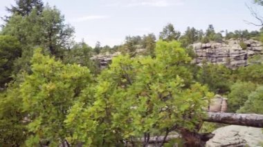 Sonbaharda Castlewood Kanyon state park hiking