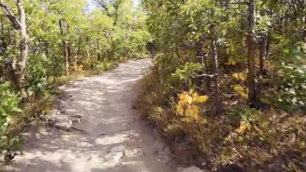Randonnée pédestre à l'automne au parc national du canyon Castlewood 