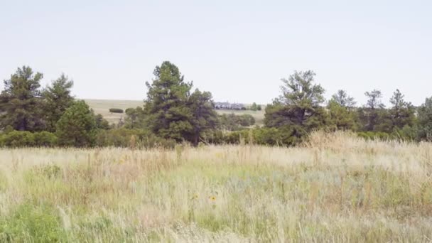 Wandern Herbst Castlewood Canyon State Park — Stockvideo