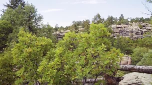 Senderismo Otoño Parque Estatal Castlewood Canyon — Vídeo de stock