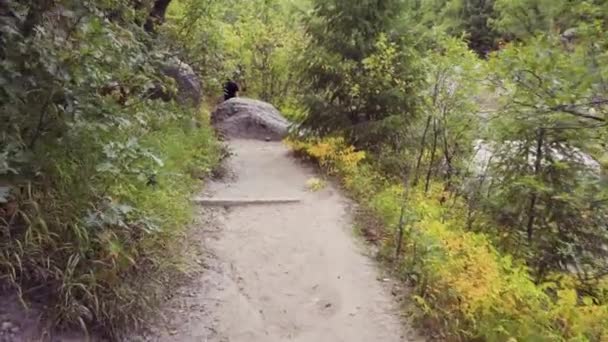 Pieszych Jesieni Park Stanowy Kanion Castlewood — Wideo stockowe