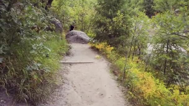 Wandern Herbst Castlewood Canyon State Park — Stockvideo