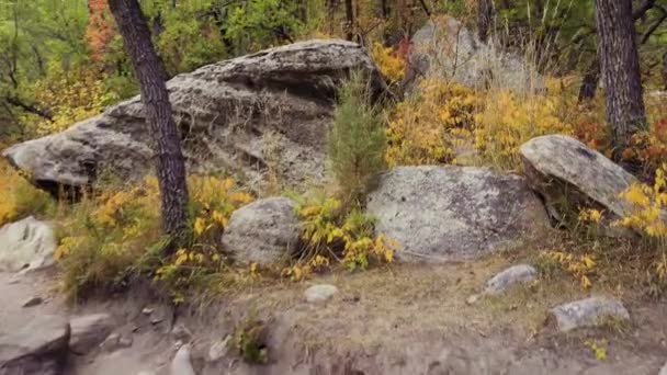 Hiking Autumn Castlewood Canyon State Park — Stock Video