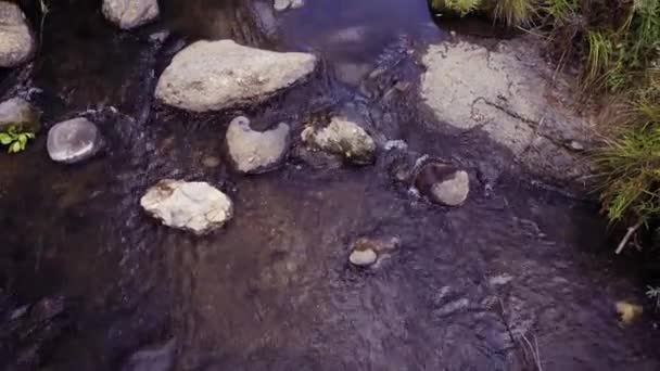 Wandelen Herfst Castlewood Canyon State Park — Stockvideo