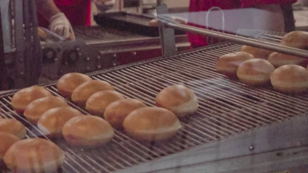 Produção Industrial Rosquinhas Por Máquina — Fotografia de Stock