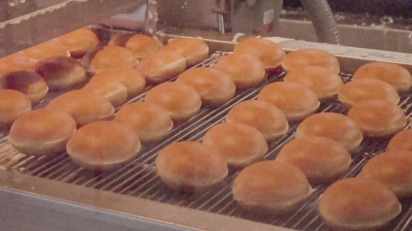 Produção Industrial Rosquinhas Por Máquina — Fotografia de Stock