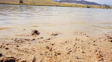 Ağır çekim. Küçük kızlar Chatfield state Park'ta küçük sahilde oynarken