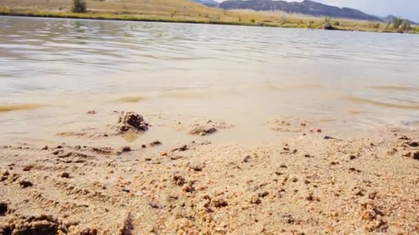 Slow Motion Little Girls Playing Small Beach Chatfield State Park — Stock Video