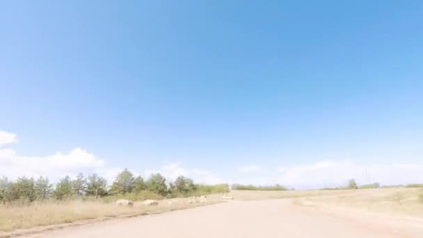 Проміжок Часу Водіння Грунтовій Дорозі Через Відкритий Простір Сільській Передмість — стокове відео