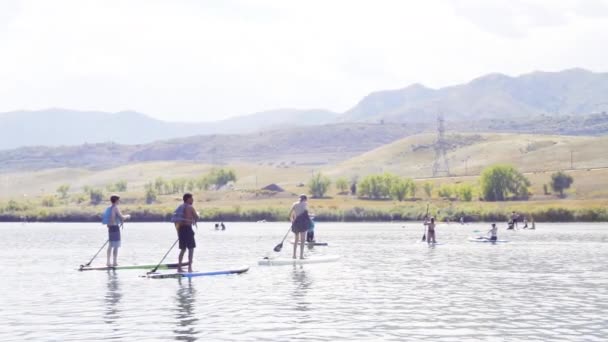Denver Colorado Usa September 2018 Paddleboarding Small Pond Chatfield State — Stock Video