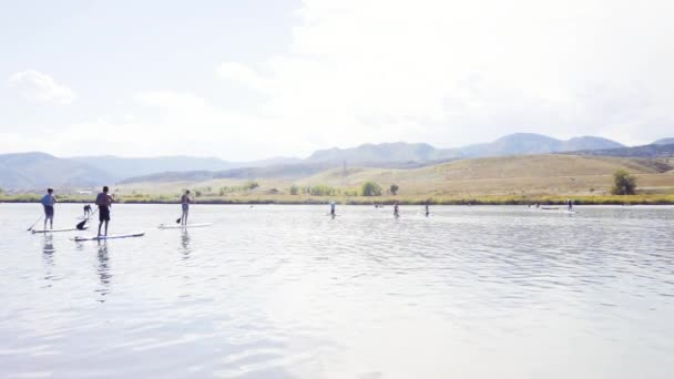 Denver Colorado Usa September 2018 Paddleboarding Liten Damm Chatfield State — Stockvideo