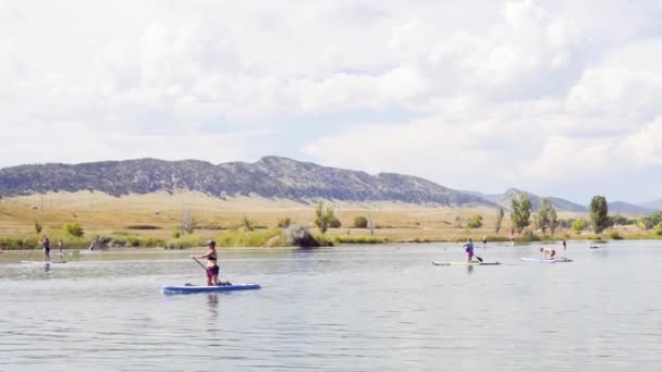 Denver Colorado Usa September 2018 Paddleboarding Liten Damm Chatfield State — Stockvideo