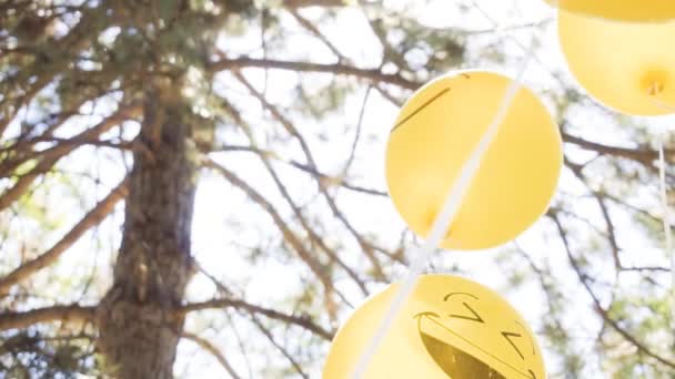 Movimento Lento Balões Emoji Amarelos Festa Aniversário Menino Parque — Vídeo de Stock