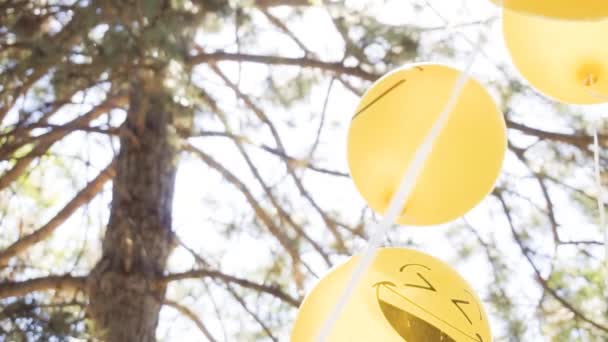 Slow Motion Yellow Emoji Balloons Little Boy Birthday Party Park — Stock Video