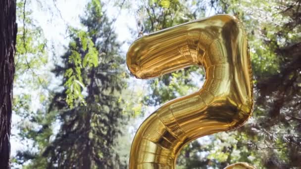 Movimento Lento Número Cinco Balão Dourado Pequena Festa Aniversário Parque — Vídeo de Stock