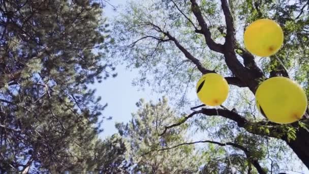 慢动作 在公园小男孩生日派对黄色表情符号气球 — 图库视频影像