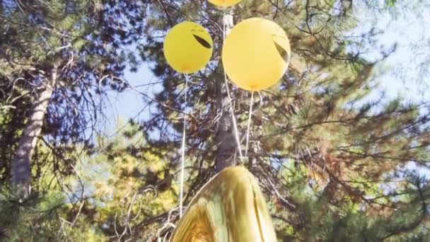 Slow Motion Nummer Fem Gyllene Ballong Lite Födelsedagsfest Stadsparken — Stockvideo