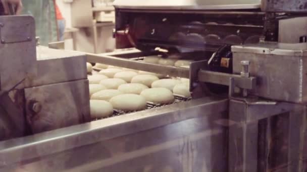 Donuts Makine Tarafından Sanayi Üretim — Stok video