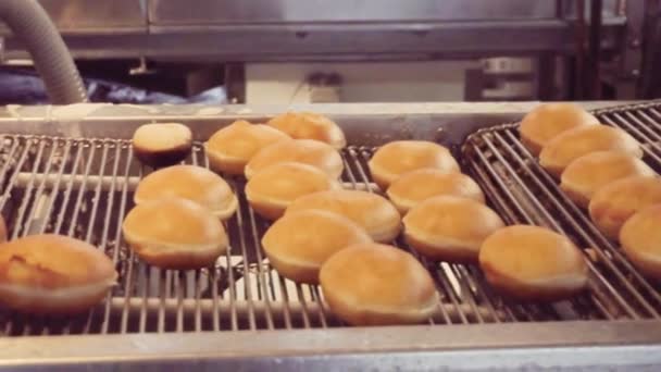 Produção Industrial Rosquinhas Por Máquina — Vídeo de Stock