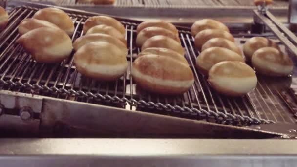 Produção Industrial Rosquinhas Por Máquina — Vídeo de Stock