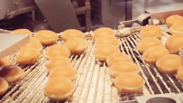 Production Industrielle Beignets Par Machine — Video