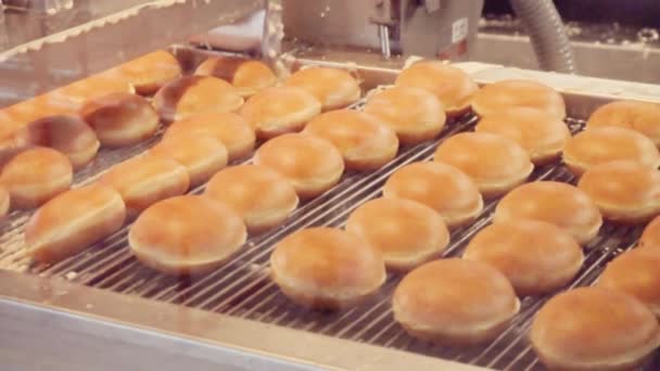 Промышленное Производство Пончиков Машинах — стоковое видео