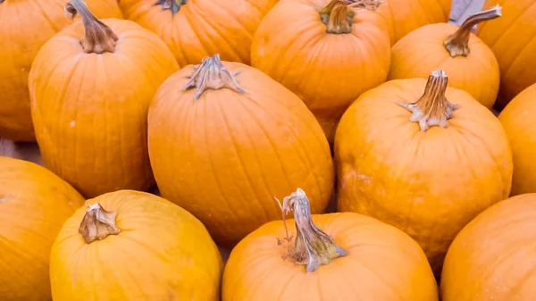 Calabazas Naranjas Para Decoraciones Halloween —  Fotos de Stock
