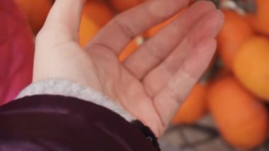 Halloween süslemeleri için Turuncu kabak
