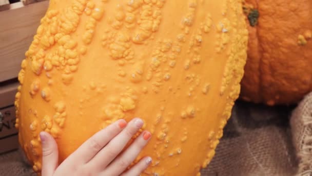 Niña Sosteniendo Una Gran Calabaza Naranja — Vídeos de Stock