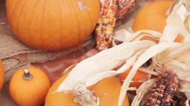 Halloween süslemeleri için Turuncu kabak